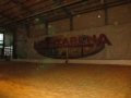 beach_02_2014_06